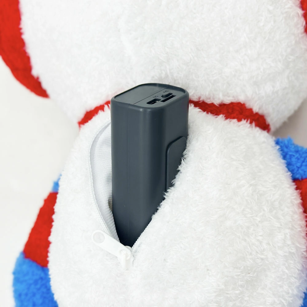 AI plush toy with removable electronic module compared with a regular stuffed animal for child safety review