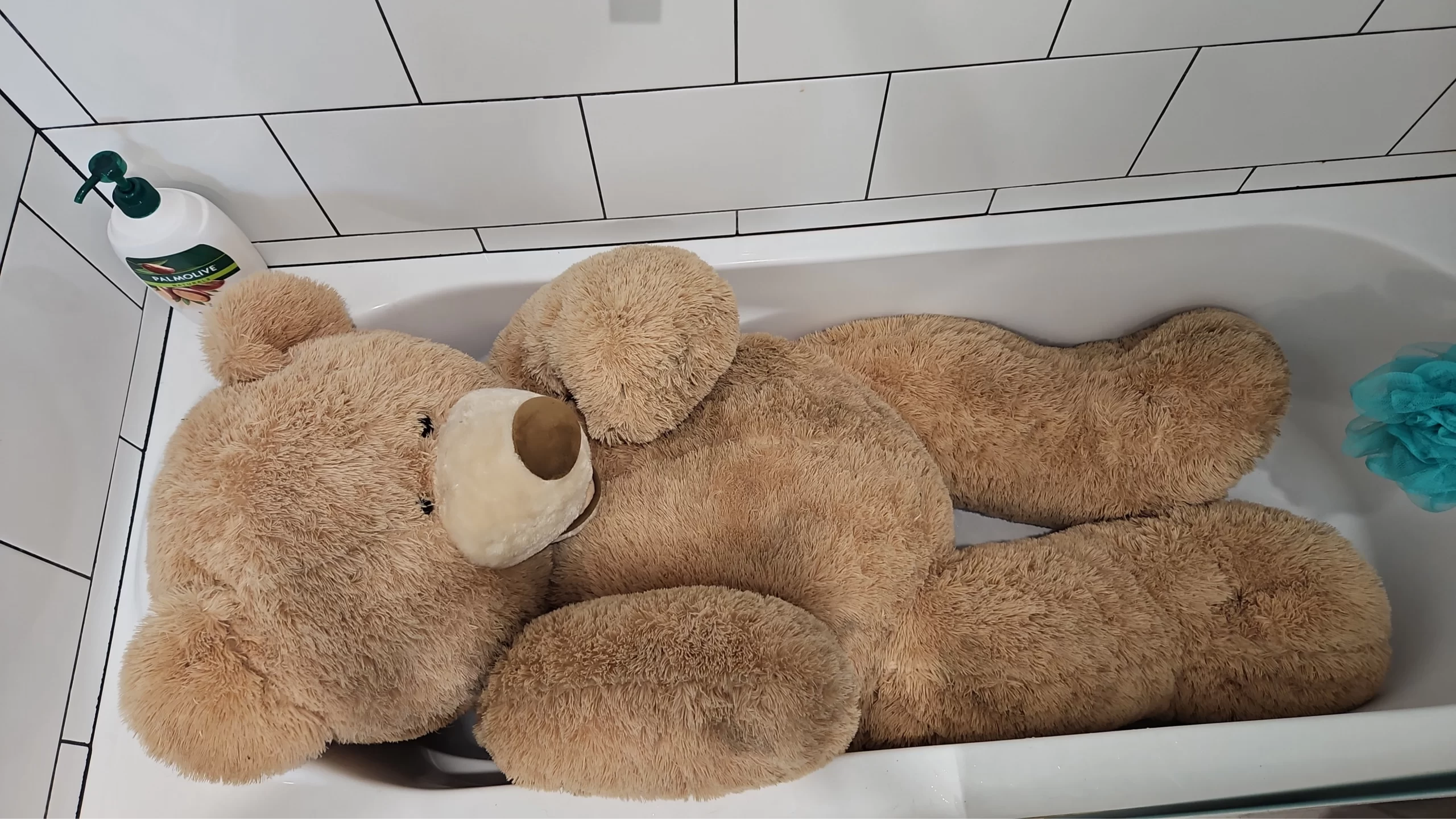 A large unbranded stuffed animal on a clean table with a care label, soft brush, towel, and mild detergent nearby.