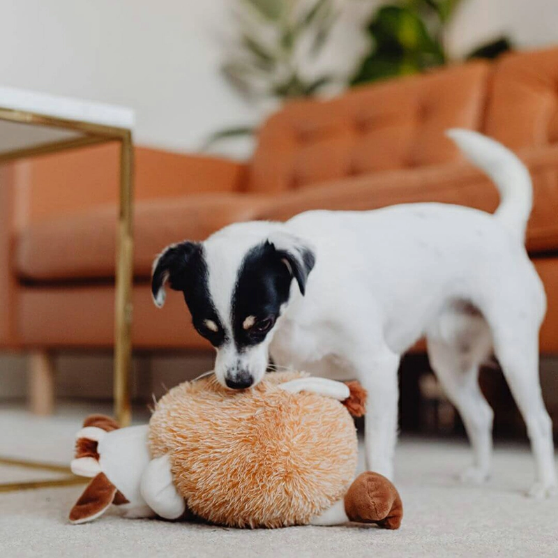 Squeaky dog plush toy designed for biting, carrying, shaking, and interactive pet play