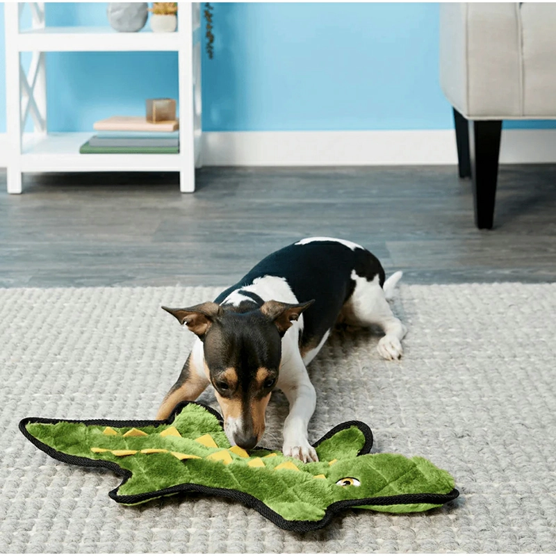 Flat no-stuffing plush dog toy designed to reduce stuffing exposure risk during shaking, carrying, and light chewing play